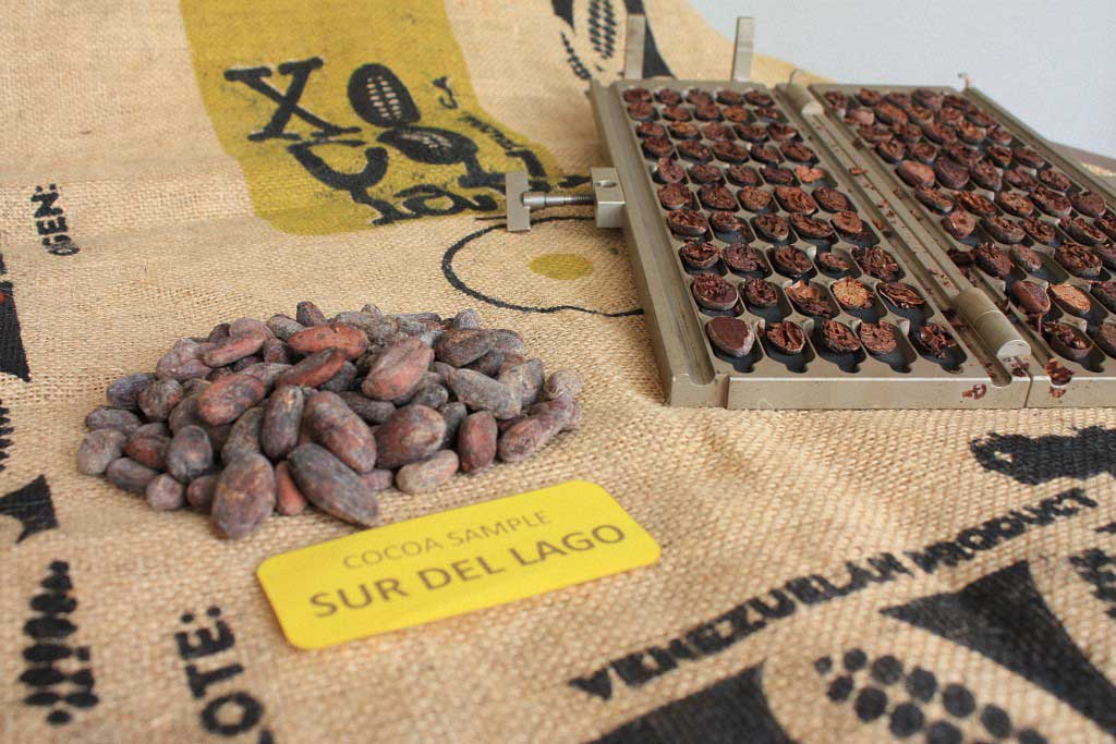 Sur del Lago – Xocolatl Trading